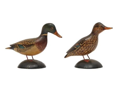 Miniature Mallard, Male And Female