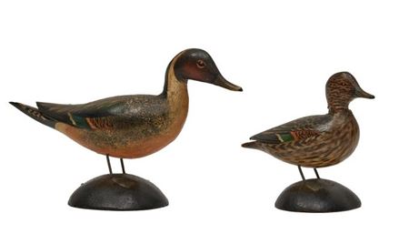 Miniature Pintail, Male And Female