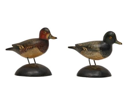 Miniature Bluebill, Male And Female