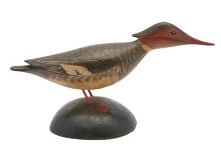 Miniature Red Breasted Merganser, Female