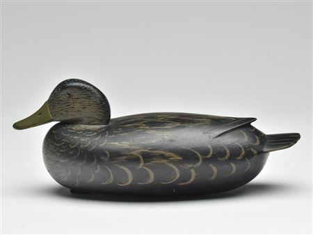 Low head black duck by Daniel G English - Auction record, sale price, and art valuation. Compare with similar artists and explore comparable artworks.
