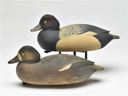 Pair of bluebills