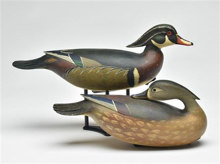Pair of wood ducks