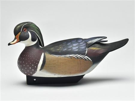 Wood Duck
