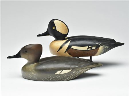 Pair of hooded mergansers