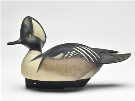 Hooded merganser