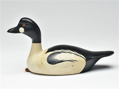 Goldeneye