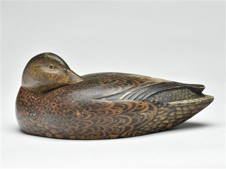 Sleeping mallard hen by Ferdinand Homme - Auction record, sale price, and art valuation. Compare with similar artists and explore comparable artworks.