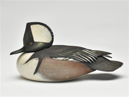 Decorative hooded merganser