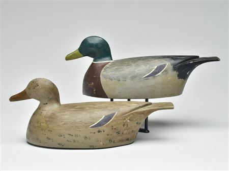 Rigmate pair of mallards