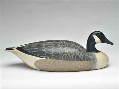 Canada goose
