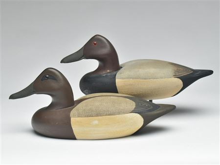 Very rare pair of canvasbacks