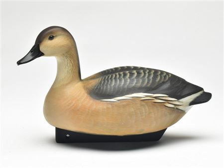 Fulvous tree duck