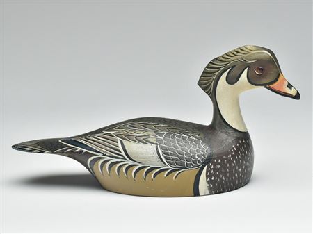 Well executed wood duck drake