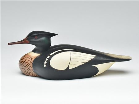 Red breasted merganser drake