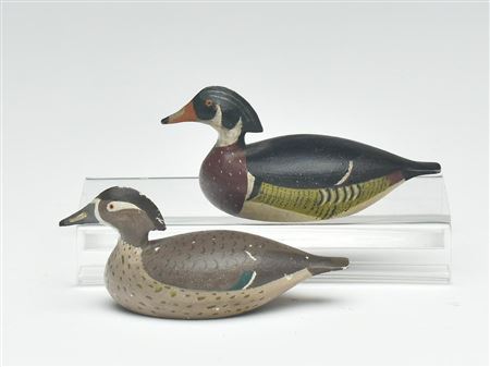 Rare pair of miniature wood ducks