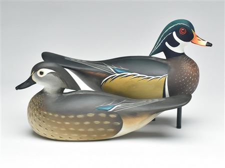 Pair of wood duck