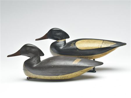 Very rare rigmate pair of mergansers