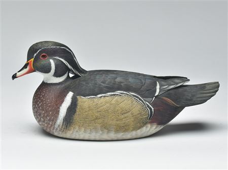 Rare and important wood duck drake