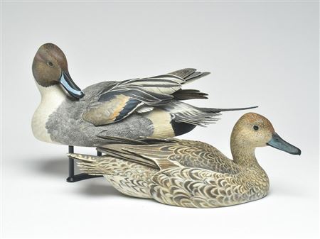 Outstanding highly decorative pair of pintails