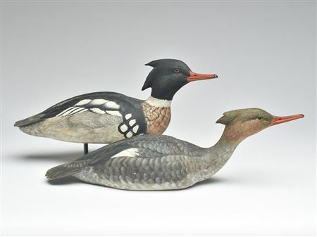 Pair of swimming red breasted mergansers by John S Scheeler - Auction record, sale price, and art valuation. Compare with similar artists and explore comparable artworks.
