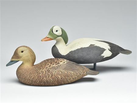 Pair of spectacled eiders by Paul Burdette - Auction record, sale price, and art valuation. Compare with similar artists and explore comparable artworks.