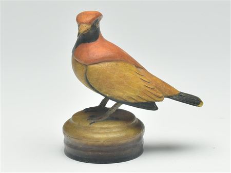 Flame bower bird