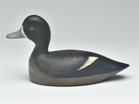 Bluebill hen