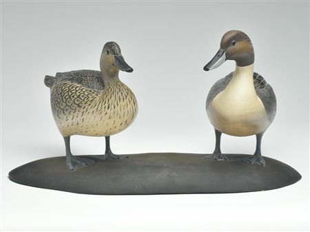 Extraordinary pair of pintails