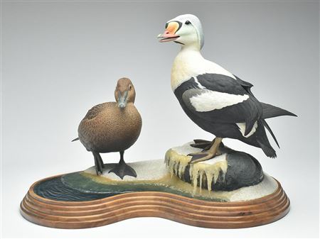 "Spring Thaw/King Eider" (2)