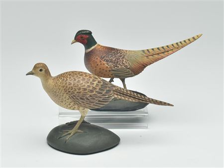 Miniature pheasant (2)