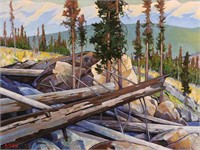 ROCKIES SLOPE VIEW