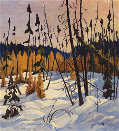 Boreal Forest, North of Lake Superior, 1949