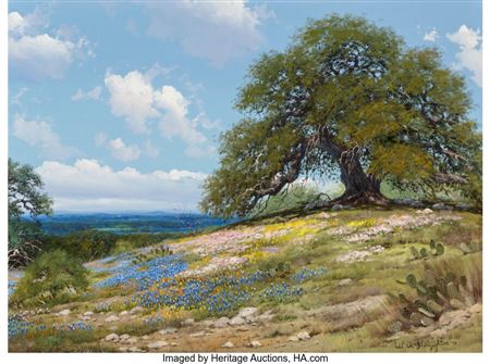 Bluebonnets