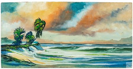 Florida wetlands beach landscape