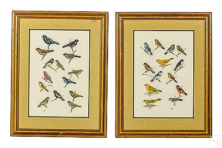 Birds (2)