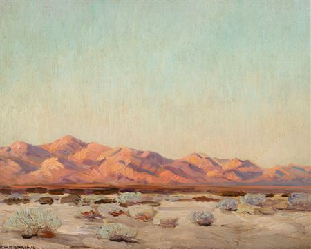 Evening on the Desert