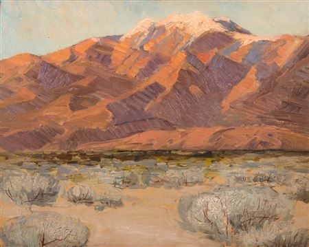 Evening in Desert