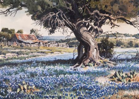 Blue Bonnets of Bosque County, 1976