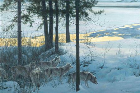 Edge of Night - Timber Wolves, 1996