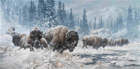 The Wildlife Experience Collection Benefit