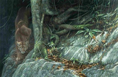 Path of the Panther, 1994