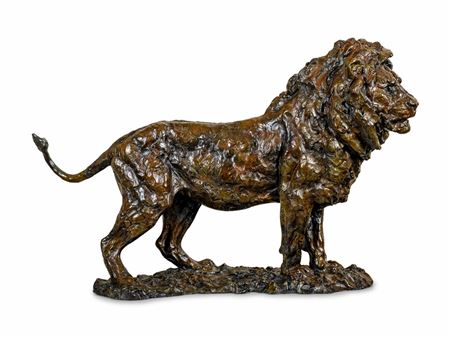 Serengeti Lion