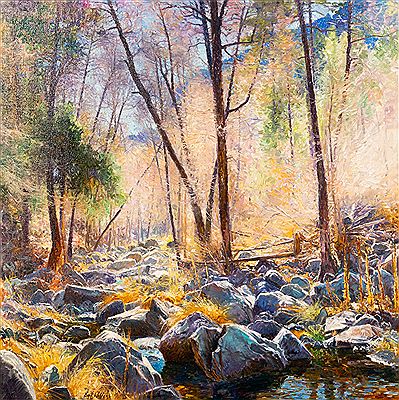 Unadorned, Oak Creek Canyon, Arizona