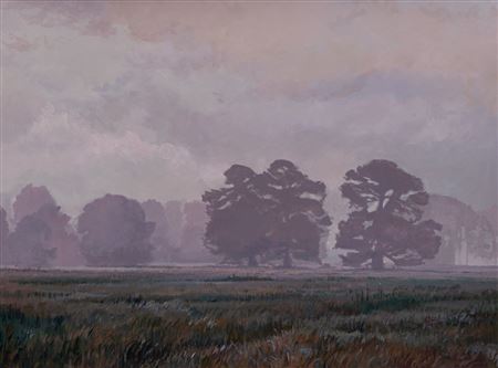 Foggy Meadow