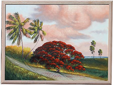 A poinciana tree with palm trees near the coast