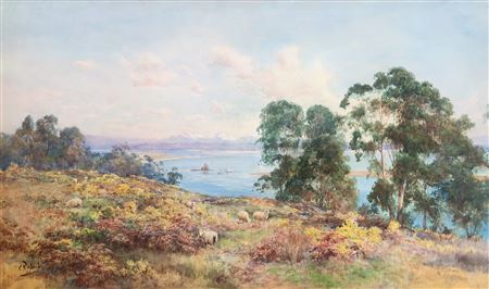 Entrance, Nelson harbour from Port Hills