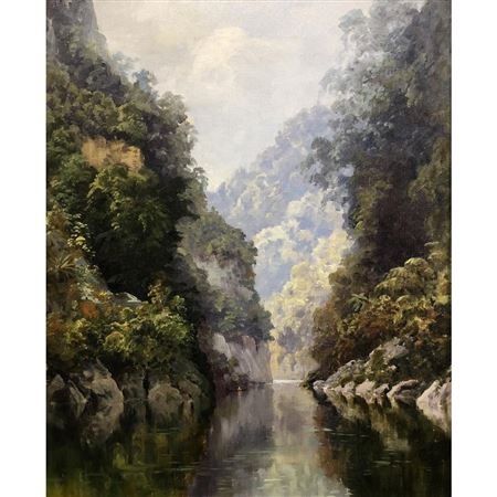 The Wanganui River