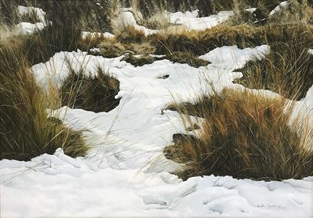 Winter - Desert Road