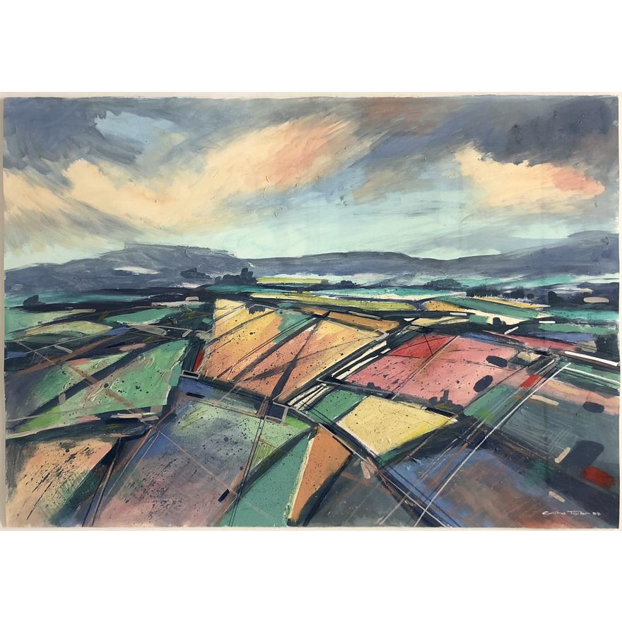 AERIAL BOUNDARIES by Cynthia Taylor - Auction record, sale price, and art valuation. Compare with similar artists and explore comparable artworks.